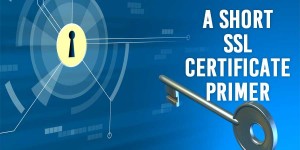 A Short SSL Certificate Primer