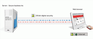 What is an SSL Certificate?