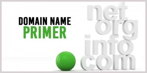 Domain Name Primer