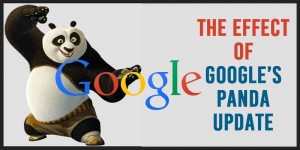 The Effects of Google's Panda Update