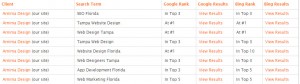 Arnima's SEO Rank in 2012