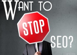 Read This Article Before You Stop SEO on your Website