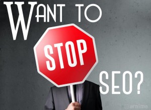 Read This Article Before You Stop SEO on your Website